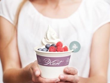 Pure. Frozen. Yogurt.